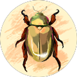 Profile photo of Nicole Richards