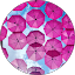 Profile photo of Tricia