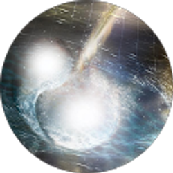 Profile photo of Mickey Collins