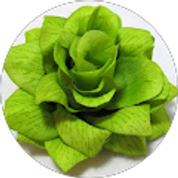 Profile photo of Taylor Treadwell