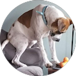 Profile photo of Patricia M Slama