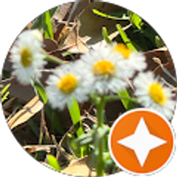 Profile photo of Sabrina Emerald