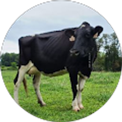 Profile photo of John Chianfagna