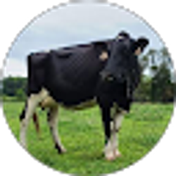 Profile photo of John Chianfagna