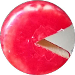 Profile photo of Hanna K.