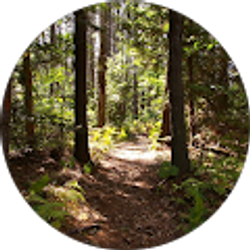 Profile photo of Kathy