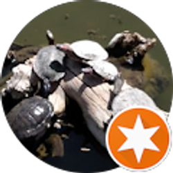 Profile photo of Richard