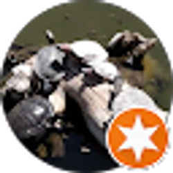 Profile photo of Richard