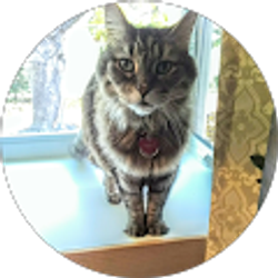 Profile photo of Bicky Babes