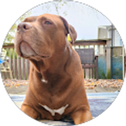 Profile photo of Jeremiah Burkey