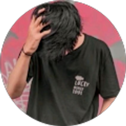 Profile photo of Mirwais Safi