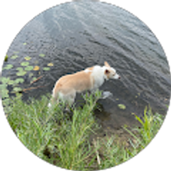 Profile photo of Lissete Sanchez