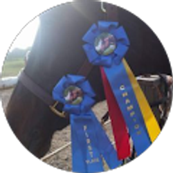 Profile photo of Lynsie Anselmo