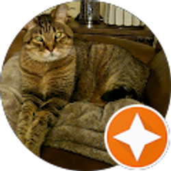 Profile photo of Susan Fritzemeyer