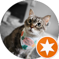 Profile photo of Regan Borg