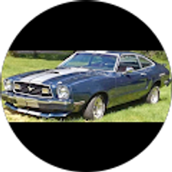 Profile photo of Wamsey17