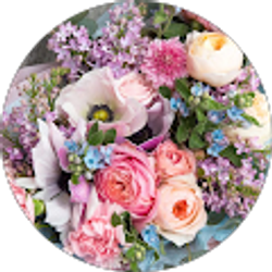 Profile photo of Terri Smith