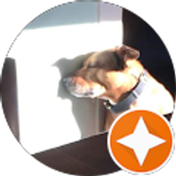 Profile photo of B Reynolds