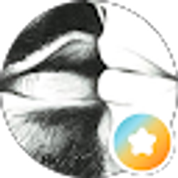 Profile photo of Karen Farr
