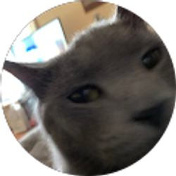 Profile photo of Andrew Taylor