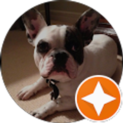 Profile photo of Jerri Manale