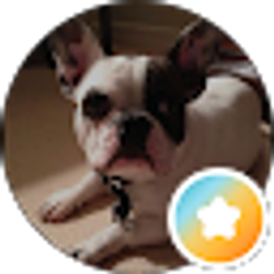 Profile photo of Jerri Manale