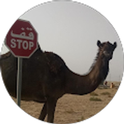 Profile photo of Bill Scott