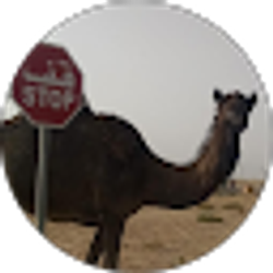 Profile photo of Bill Scott