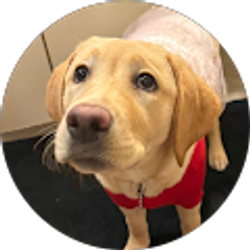 Profile photo of Cody R