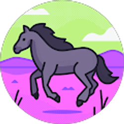 Profile photo of Rachel S