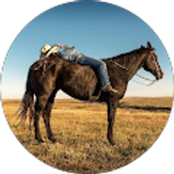 Profile photo of Lisa W