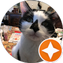 Profile photo of Alice Richards