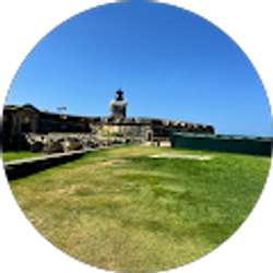 Profile photo of Steven Tyler