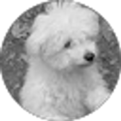 Profile photo of Helen Kim