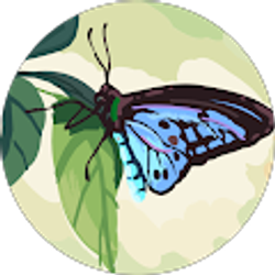 Profile photo of LMC