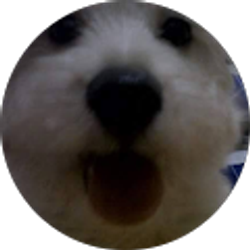 Profile photo of Ryan Mohammed