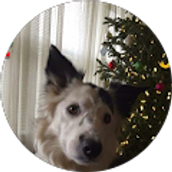 Profile photo of Barb Knowlton