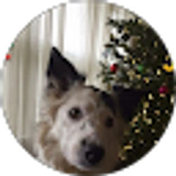 Profile photo of Barb Knowlton