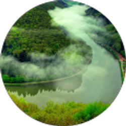 Profile photo of Tony Crady