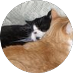 Profile photo of susan sawyer