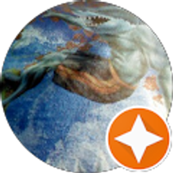 Profile photo of Sheila Cook