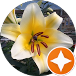 Profile photo of Barbara Cary