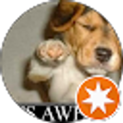 Profile photo of Scott McCalla