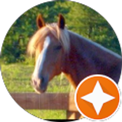 Profile photo of Sarah Fausett