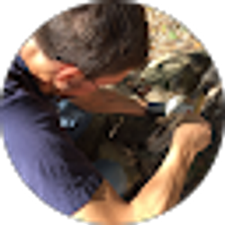Profile photo of Seth LaJeunesse
