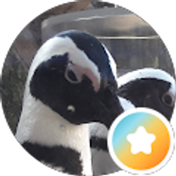 Profile photo of Jill Bradley