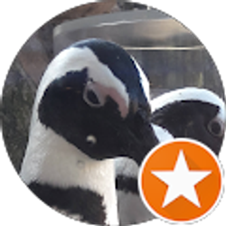 Profile photo of Jill Bradley