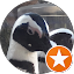 Profile photo of Jill Bradley