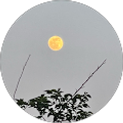 Profile photo of Vicky D