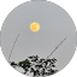 Profile photo of Vicky D